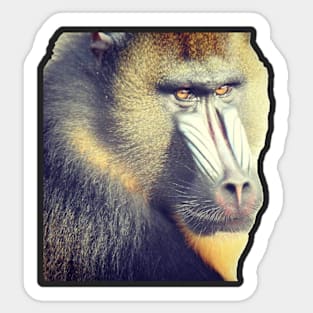 Mandrill Sticker